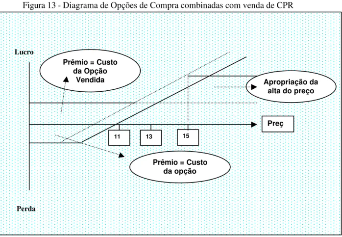 Figura 13 - Diagrama de Opções de Compra combinadas com venda de CPR 
