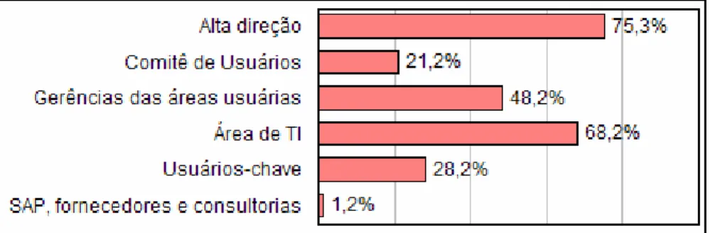 Gráfico 8 – Quem estabelece os objetivos em relação ao ERP