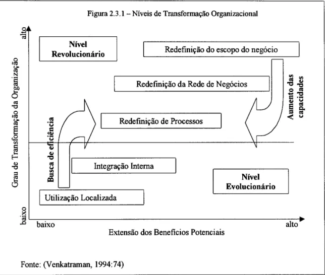 Figura 2.3.1 - Níveis de Transfonnação Organizacional 