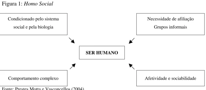 Figura 1: Homo Social  Condicionado pelo sistema 