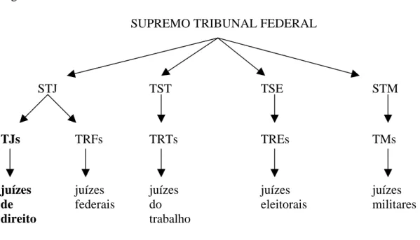 Figura 4: Estrutura do Poder Judiciário no Brasil 
