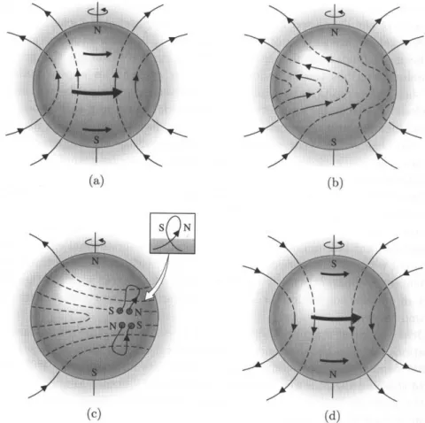 Figura 1.3: O modelo de Babcock do dínamo magnético: (a) O campo magnético solar é inicial- inicial-mente um campo poloidal; (b) A rotação diferencial arrasta as linhas de campo magnético  congela-das (frozen − in) em torno do Sol, convertendo o campo polo