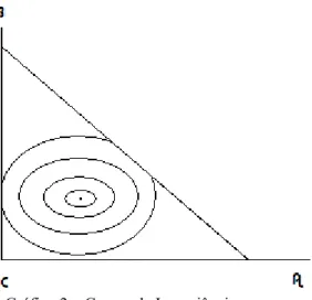 Gráfico 2 – Curvas de Isovariância.