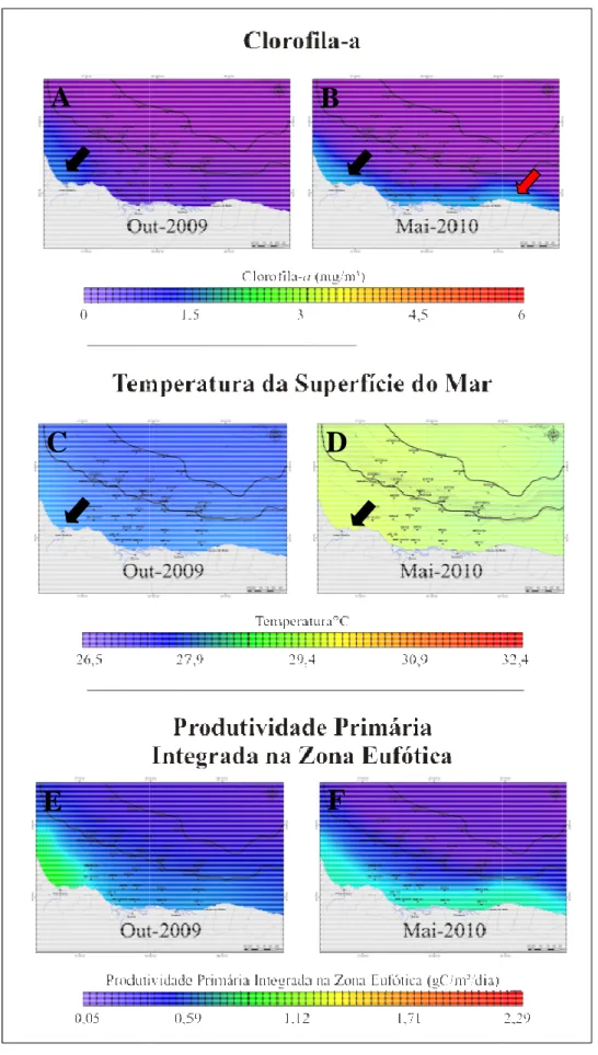 Figura  2.24:  Imagens  AQUA-M primária integrada na zona eufóti Maio/2010 (Monitoramento Regi