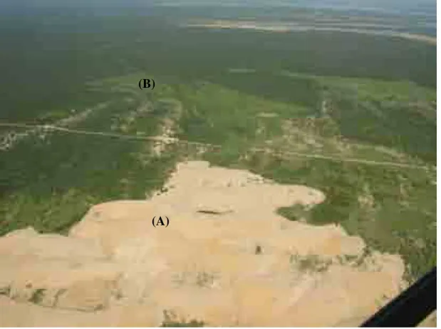 Figura 1.8 – Destaque na ocorrência de campos de dunas eólicas na região, sendo caracterizada  por dois tipos: (A) barcanóides e (B) parabólicas