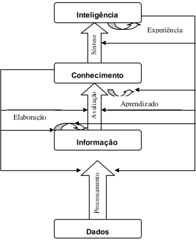Figura 1 – Os  níveis hierárquicos da  informação. 