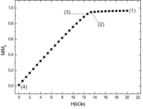Figura 4.2: Curva de remanˆencia de dois nanodiscos de Fe com 81nm de diˆametro e 12nm de altura, a partir do estado saturado (H=20kOe) ao estado de remanˆencia (H=0kOe), com 6nm de distˆancia interdicos.