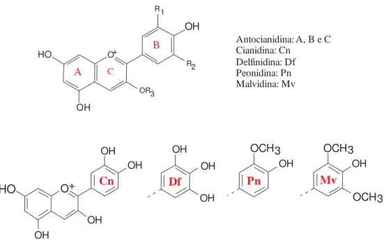 Figura 2.3: Estrutura química dos tipos de antocianinas encontradas em fontes vegetais