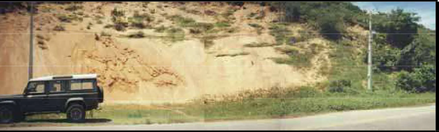 Figura 1.8 - Dunas antigas, apresentando coloração amarelada devido à oxidação, localizadas na zona  oeste de Natal (Foto: Frazão, out