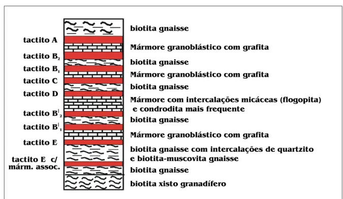 Figura 4.1 - Coluna litoestratrigráfica da mina Brejuí, com a classificação e o posicionamento dos níveis de minério 