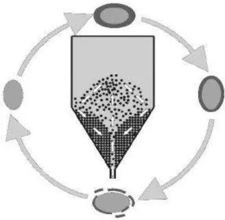 Figura 2.3 - Representação das etapas de secagem em leito de jorro. Fonte:  Trindade (2004) 