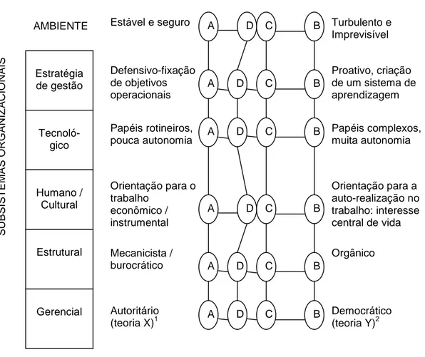 Figura 4: Características organizacionais e ambientais 