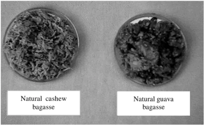 Figure 1 - Natural bagasses of cashew (Anacardium  ocidentale, L) and guava (Psidium guayava).