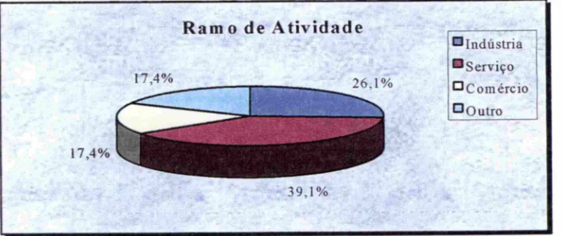 Figura 11: Ramo de atividade da organização