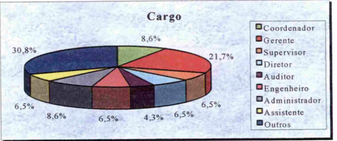 Figura 12: Cargo na organização