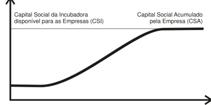 Gráfico 8 – Relação entre o Capital Social da Incubadora e das Empresas Incubadas. 