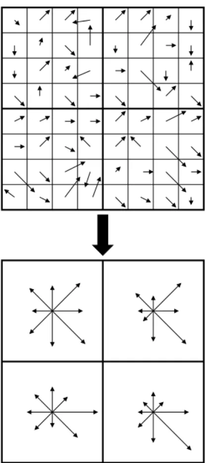 Figure 2: This figure shows a 2×2 descriptor array computed from an 8 × 8 set of samples