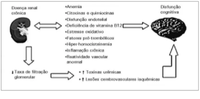 Figura 1. Mecanismos envolvidos na disfunção cognitiva nos  portadores de doença renal crônica (DRC).