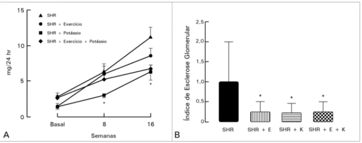 Figura 2 A-B. Valores da Excreção Urinária de Albumina, medidos em miligramas por 24 horas (gráfico A) e do índice de esclerose glomerular 