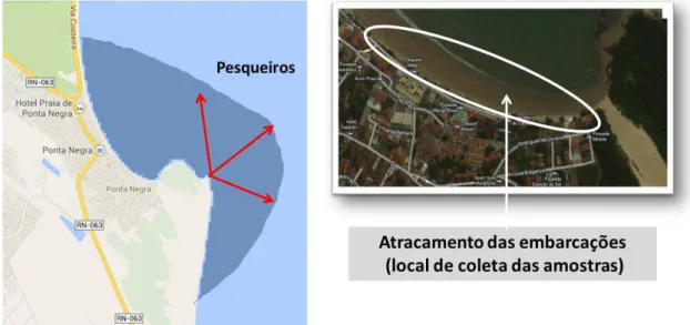 Figura 4 - Vista panorâmica da praia de Ponta Negra com destaque ao local de  atracamento das jangadas