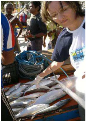 Figura 8 - Coleta das amostras do pescado capturado por pescadores artesanais em Ponta  Negra