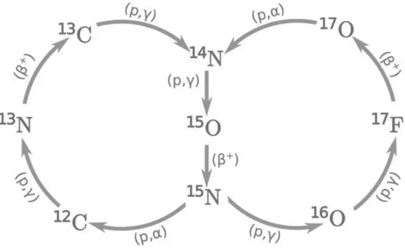 Figura 2.1: Representa¸c˜ao do bi ciclo CNO