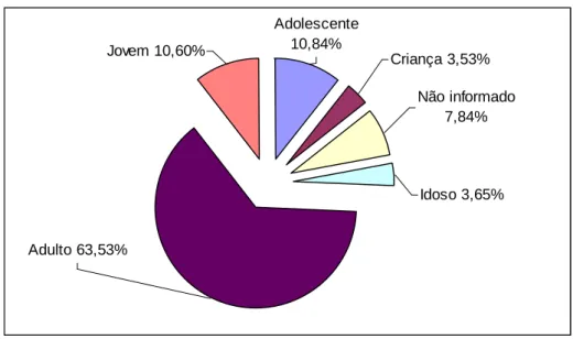 Gráfico 2 – Levantamento por faixa etária nas treze regiões da cidade pesquisada  Adulto 63,53% Idoso 3,65% Não informado 7,84%Criança 3,53%Adolescente 10,84%Jovem 10,60% Fonte: Vargens, 2006