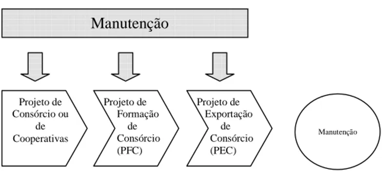 Figura 3: Fases de um Consórcio de Exportação 