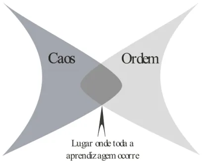 Figura 4.1  Relacionamento entre o Caos e a Ordem 