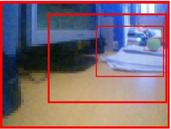 Figura 3.2: Reconstrução da imagem onde a fóvea está centralizada em uma bola.