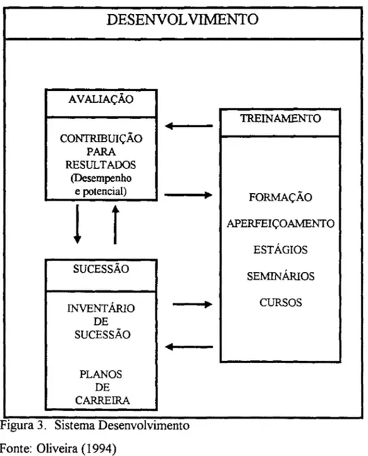 FIgura 3.  SIstema DesenvolVImento  Fonte:  Oliveira (1994)  TREINAMENTO ~ FORMAÇÃO  APERFEIÇOAMENTO ESTÁGIOS SEMINÁRIOS .