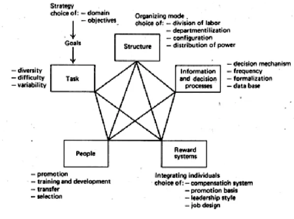 Figura 2 - Esquema para análise organizacional proposto por Galbraith 