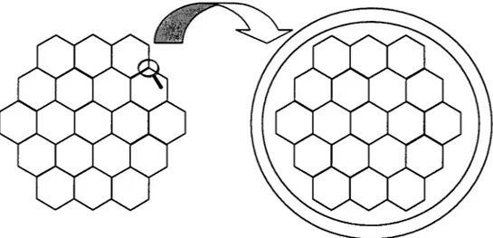 Figura 2.1:  O Princípio do Holograma na Estrutura Orgânica 