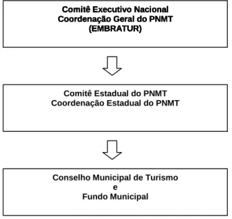 Figura 2 – Estrutura Organizacional do PNMT 