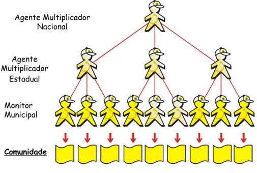 Figura 3 - Estrutura de Formação de Agentes do PNMT Figura 3 - Estrutura de Formação de Agentes do PNMT 
