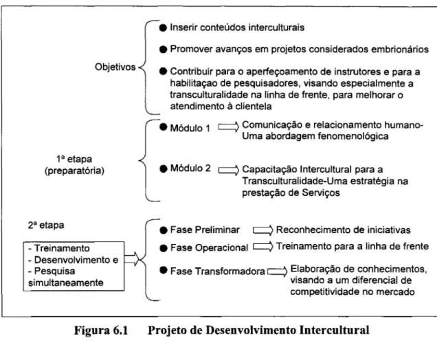 Figura 6.1  Projeto de Desenvolvimento Intercultural 