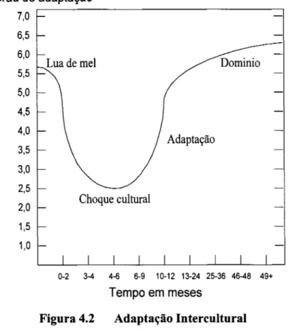 Figura 4.2  Adaptação Intercultural 