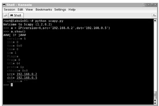 Figura 1.3: Exemplo de manipulação de pacotes utilizando o Scapy.