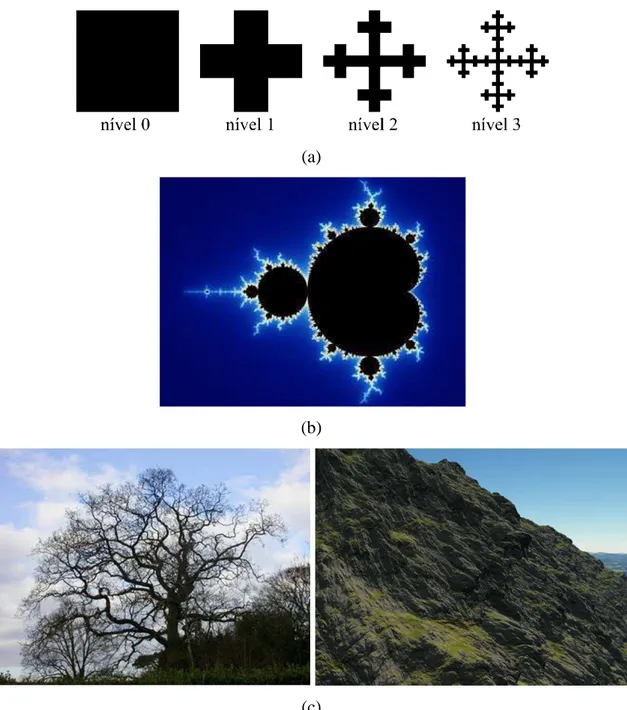 Figura 2.2. Exemplos de fractais: a) fractal de Vicsek; b) conjunto de Mandelbrot; c) terrenos  fractais