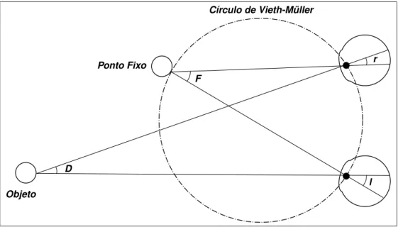 Figura 2.1: Diagrama esquemático da visão humana.