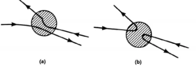 Figura 1.2: Partículas Distinguíveis