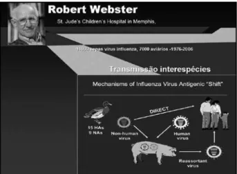 Figura 1 – Hipóteses para a disseminação do vírus Influenza a partir de aves para 