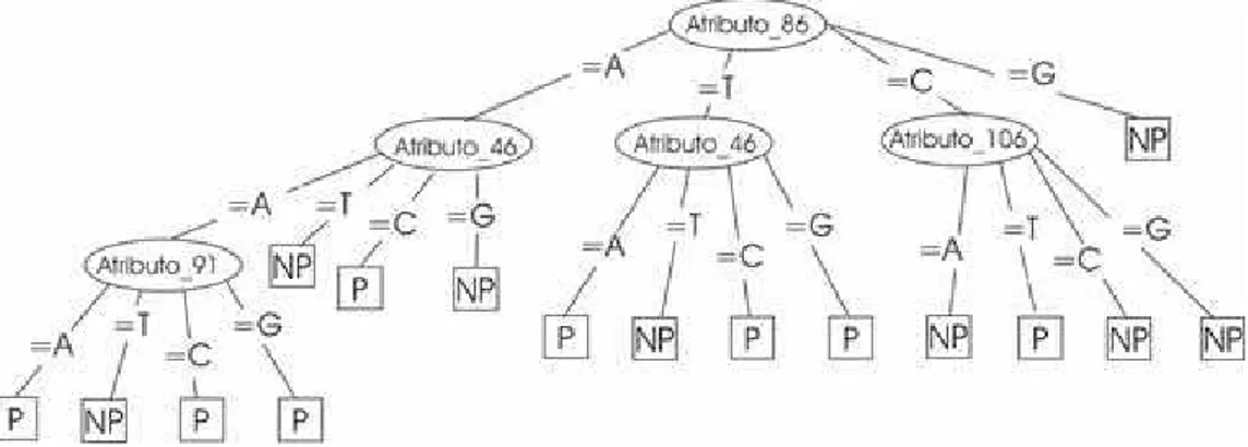 Figura 3.1: Predi¸c˜ao de promotores utilizando ´ Arvores de Decis˜ao