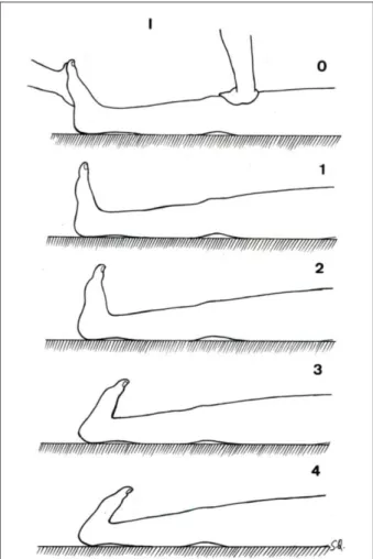 Figure  1  - Flexitest chart with igures representing the 0 to 4 scores for  movement I - ankle dorsilexion.