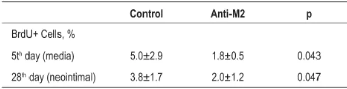 Table 2 - Quantitative analysis of cell proliferation (BrdU+ cells) in  the femoral artery of mice after vascular injury