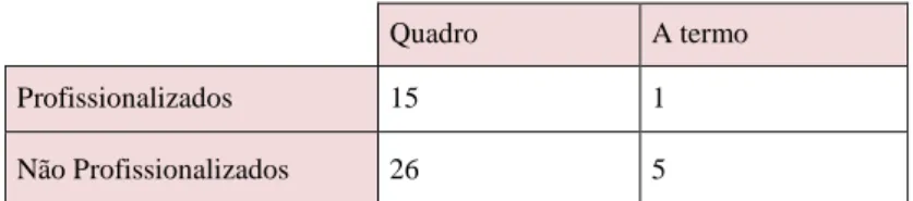 Tabela 4 - Número de professores da AAM quanto à profissionalização e tipo de contrato