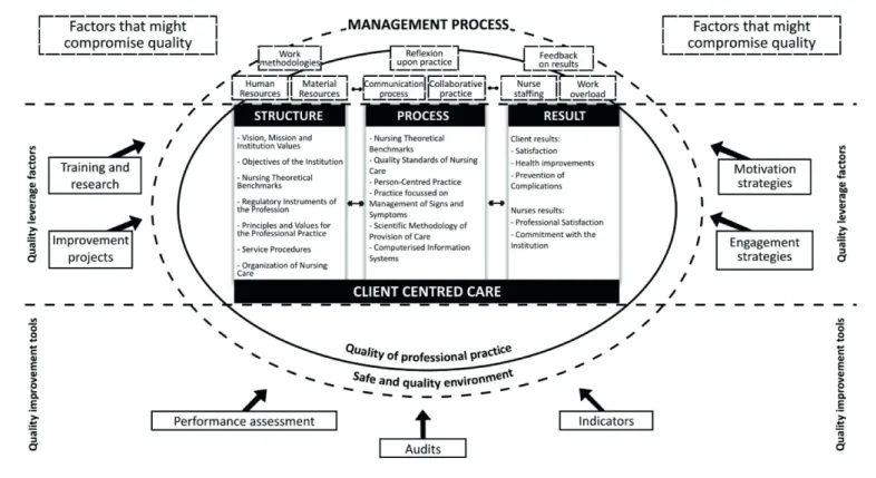 Figure 2. Explanatory model of nursing professional practice grounding