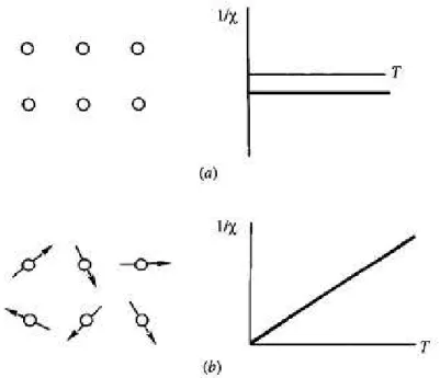Figura 1.3: Dependência da temperatura característica com a susceptibilidade recíproca: (a) para um diamagnético e (b) para um paramagnético [12].