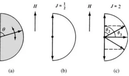 Figura 1.6: Espaço de Quantização: (a) Teoria Clássica, (b) e (c) Teoria Quântica [11].