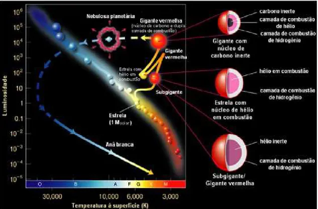 Figura 1.1: A figura representa no diagrama HR o ciclo evolutivo de uma estrela semelhandte ao sol